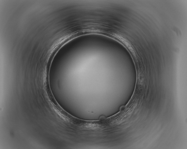 X0000113930437200909251222