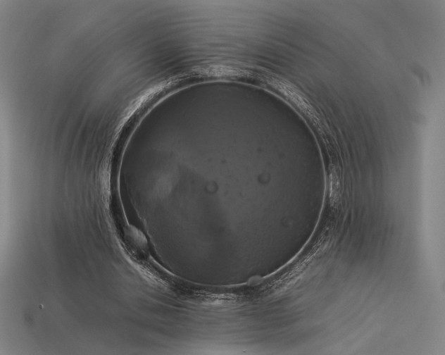 X0000113930438200909251222