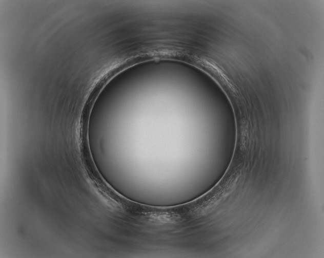 X0000113930439200909251222