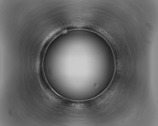 X0000113930440200909251222