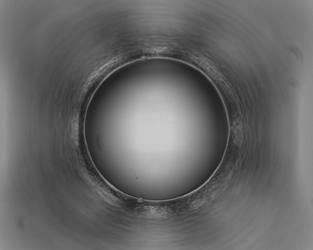 X0000113930442200909251222