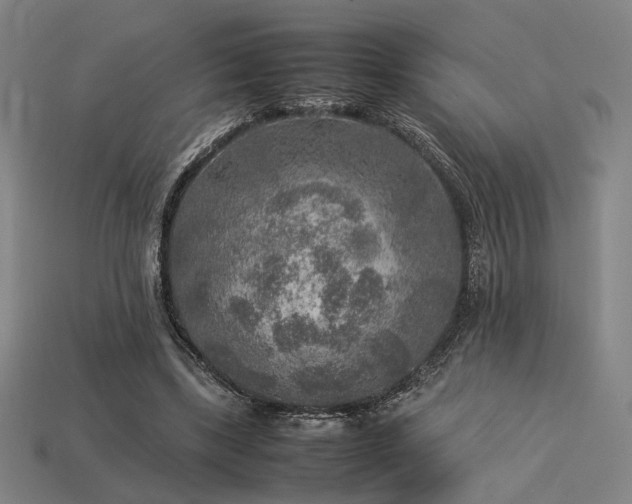X0000113930443200909251222