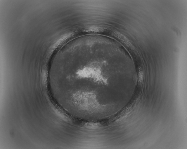 X0000113930444200909251222