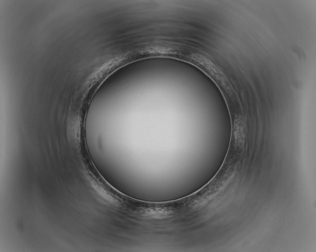 X0000113930445200909251222