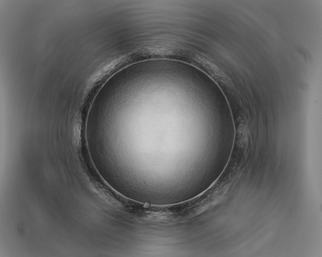 X0000113930446200909251222