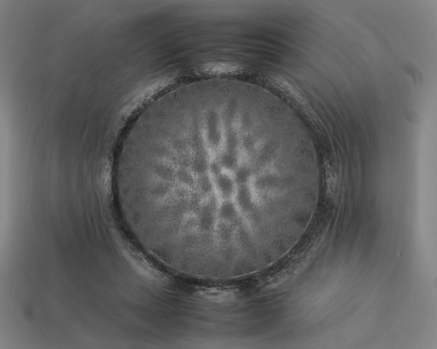 X0000113930447200909251222