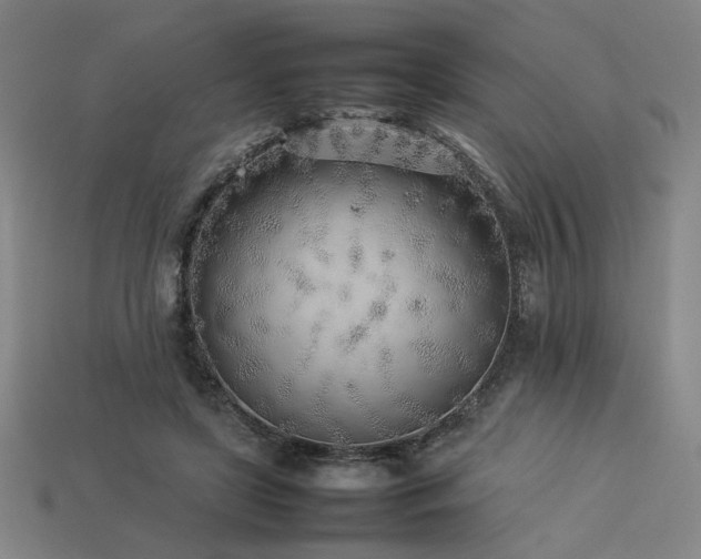 X0000113930451200909251222