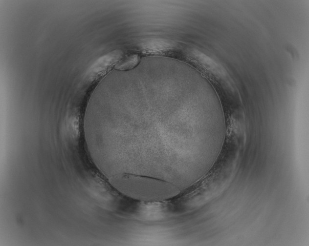 X0000113930452200909251222