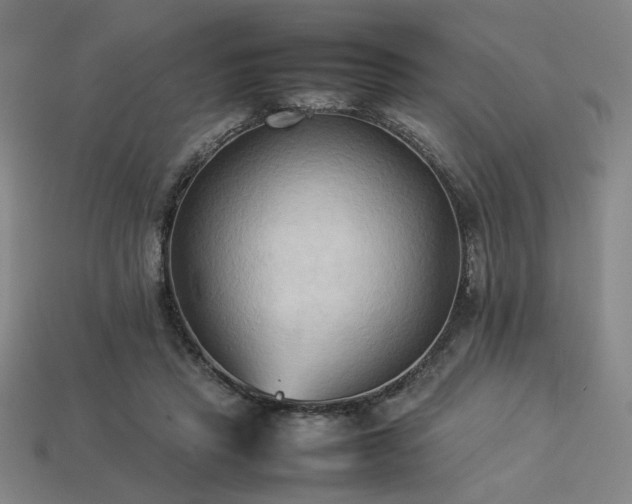 X0000113930453200909251222