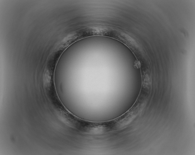 X0000113930456200909251223