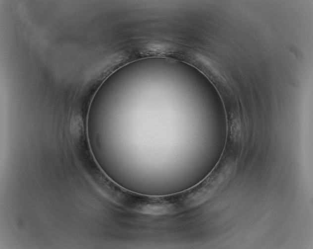 X0000113930459200909251223