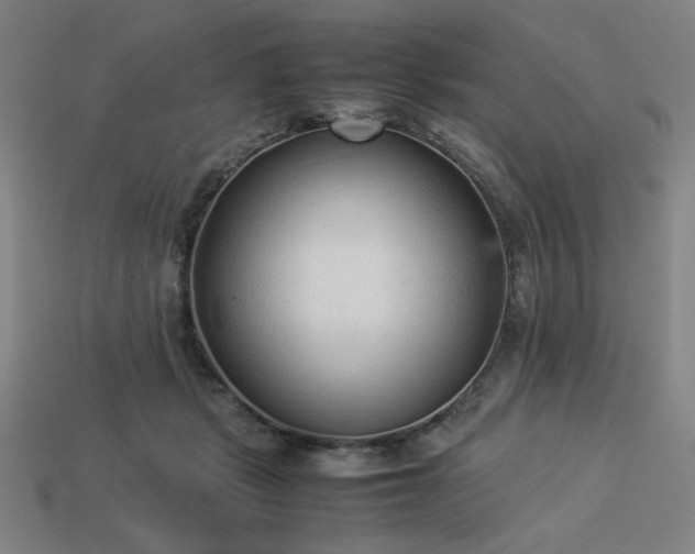 X0000113930461200909251223