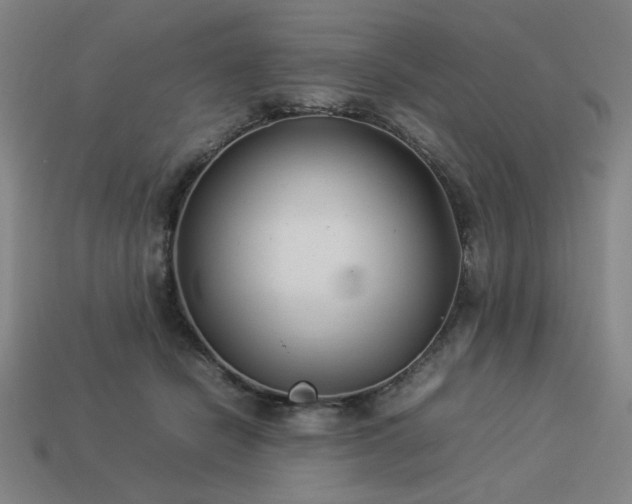 X0000113930462200909251223