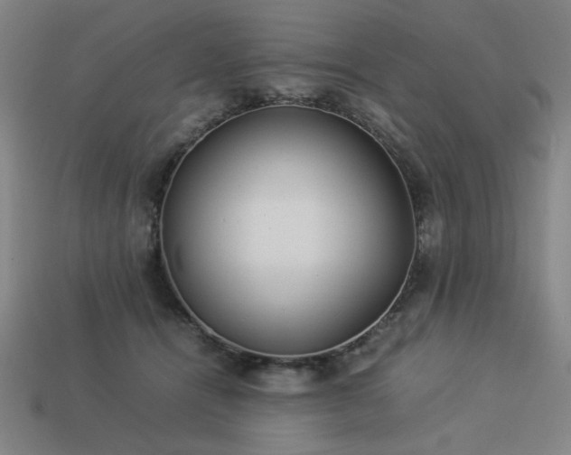 X0000113930464200909251223