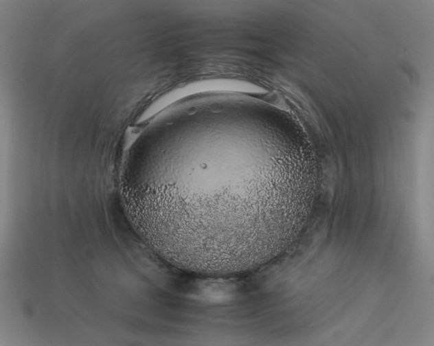 X0000113930465200909251223