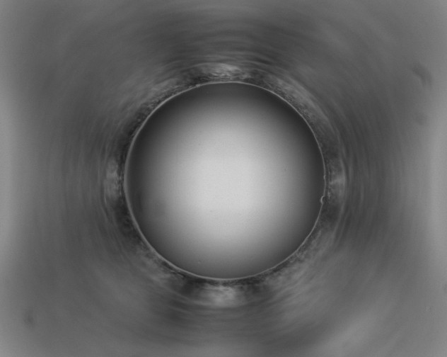 X0000113930469200909251223