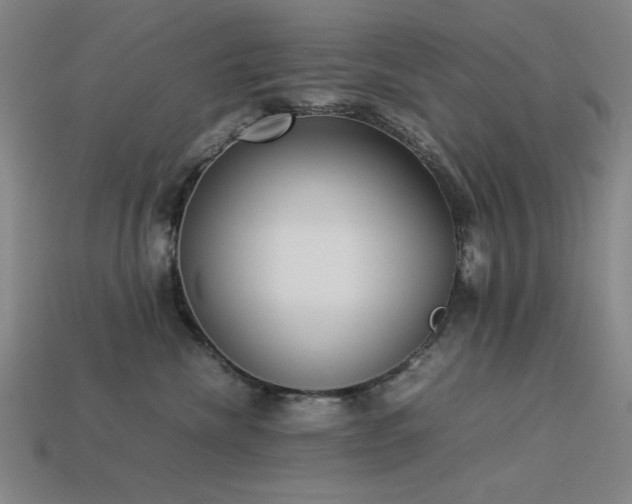 X0000113930476200909251223