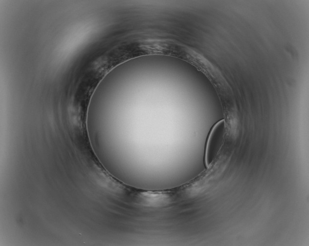 X0000113930477200909251223