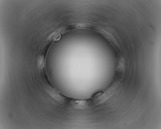 X0000113930478200909251223