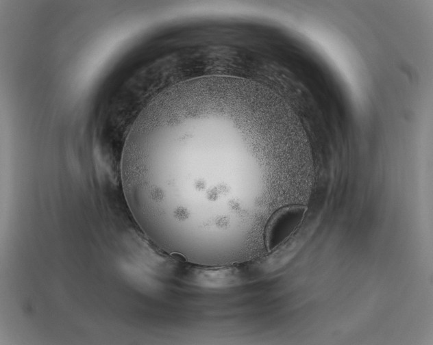 X0000113930479200909251223
