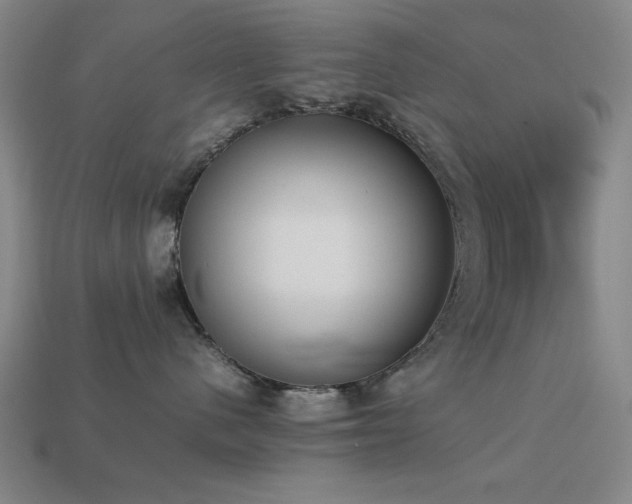 X0000113930480200909251223