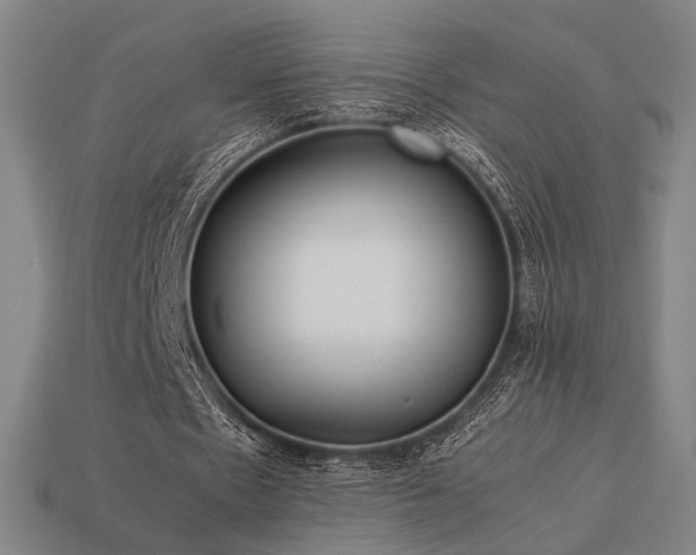 X0000113930481200909251222