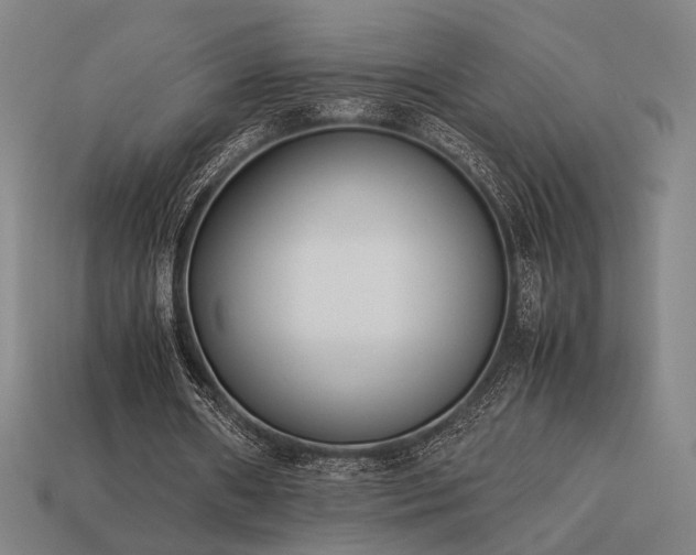 X0000113930482200909251222
