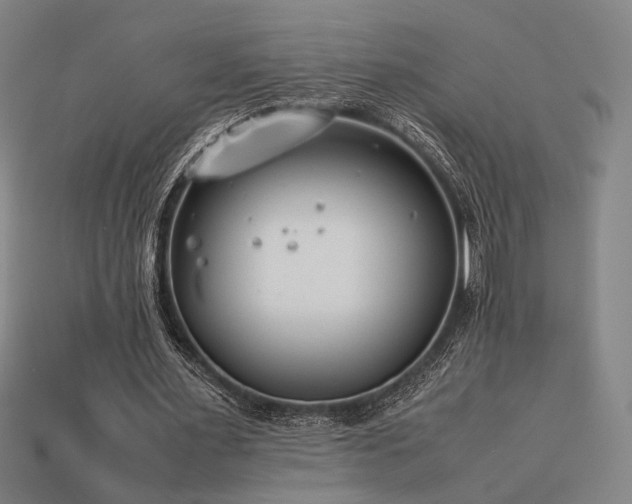 X0000113930483200909251222