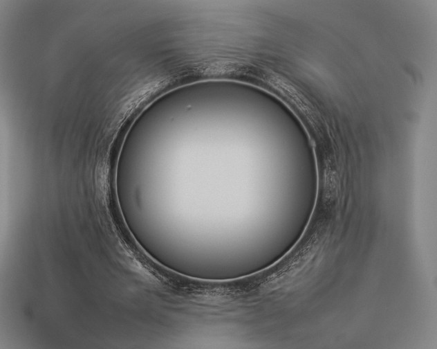 X0000113930485200909251222