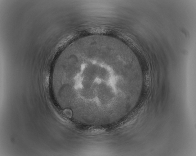 X0000113930491200909251222
