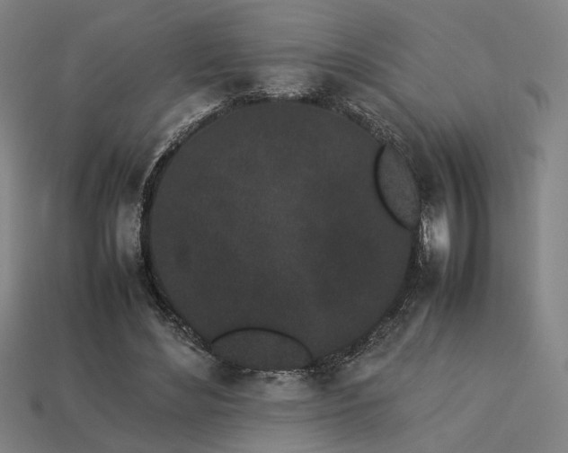 X0000113930492200909251222
