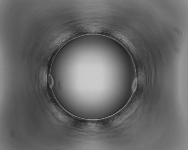 X0000113930493200909251222