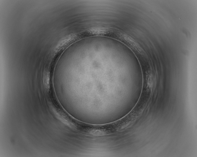 X0000113930494200909251222