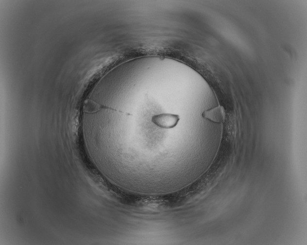 X0000113930495200909251222