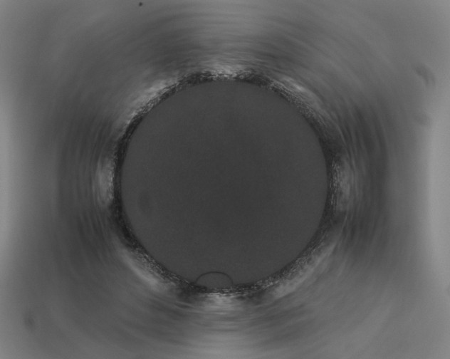 X0000113930496200909251222