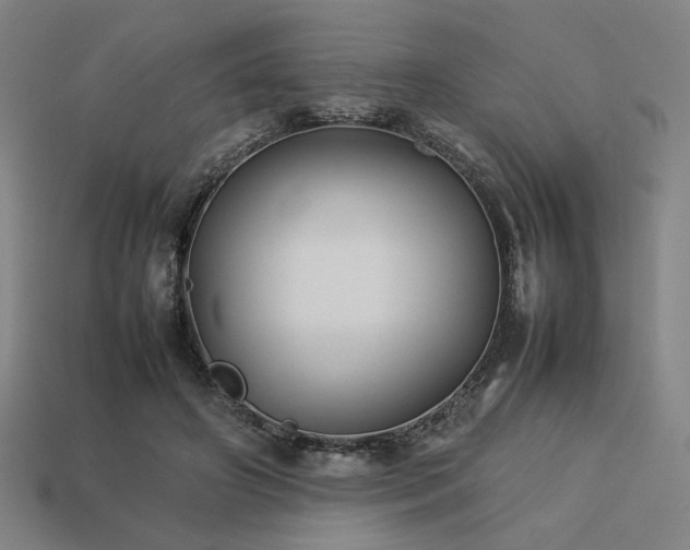X0000113930498200909251222