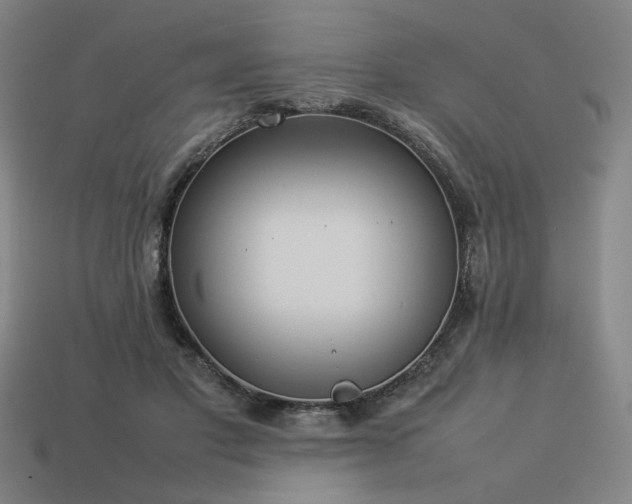 X0000113930501200909251222