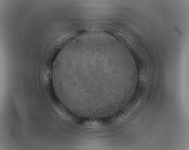 X0000113930503200909251222