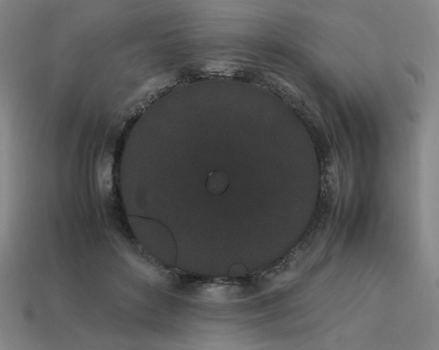 X0000113930504200909251222