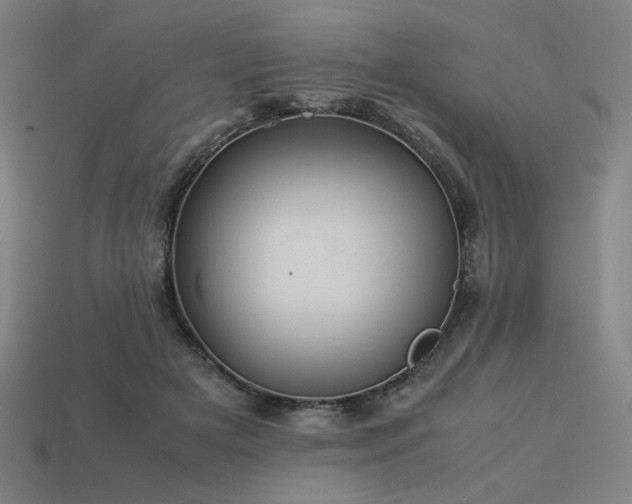 X0000113930505200909251222