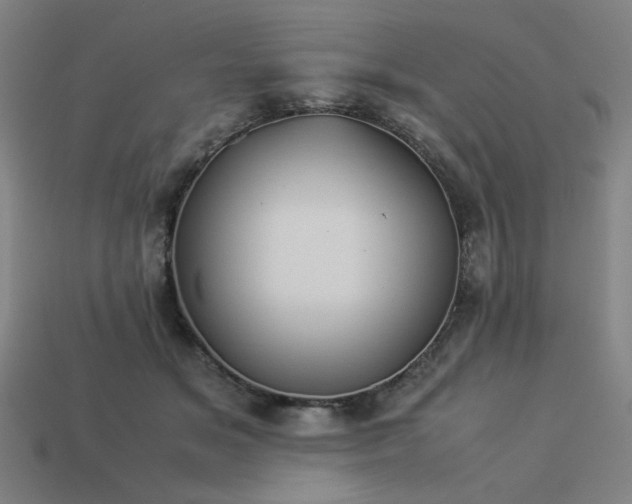 X0000113930509200909251222