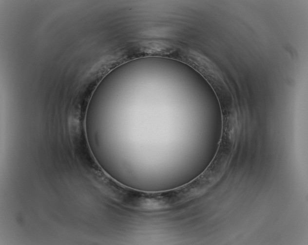 X0000113930510200909251222