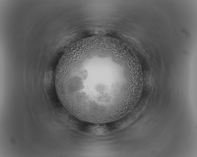 X0000113930511200909251222