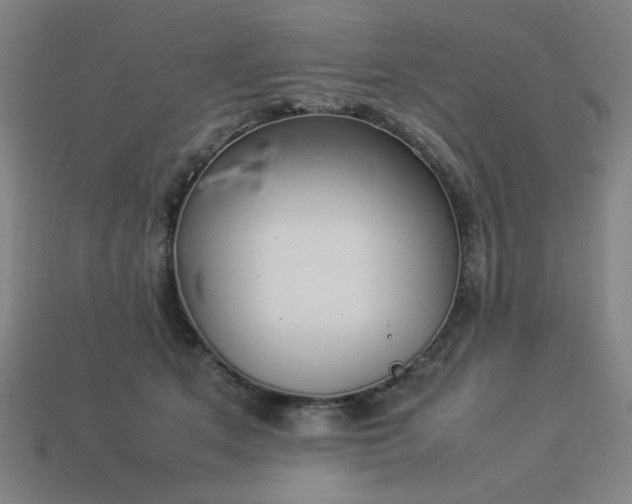 X0000113930513200909251222