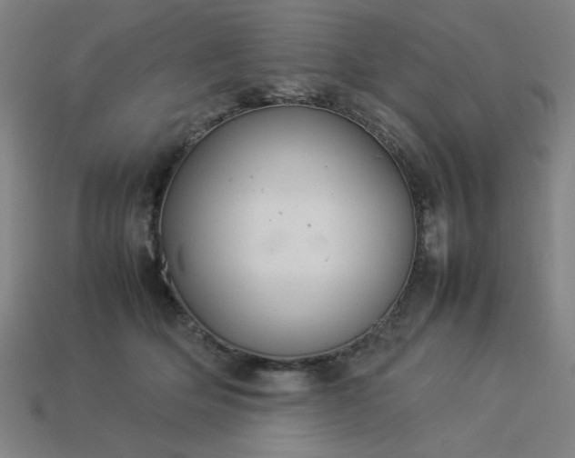 X0000113930514200909251222