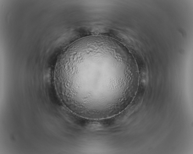 X0000113930519200909251222