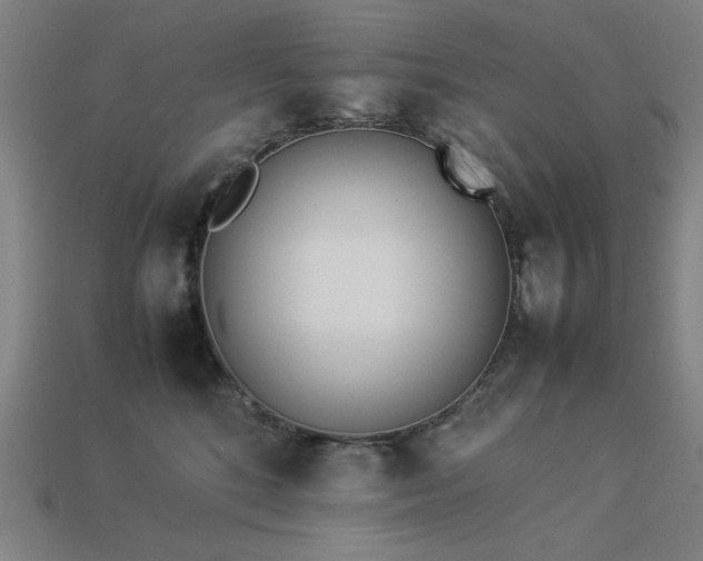 X0000113930520200909251222