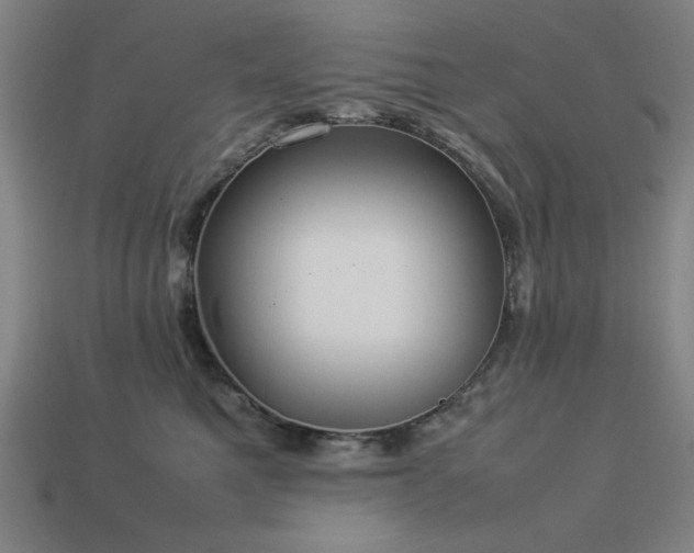 X0000113930521200909251222