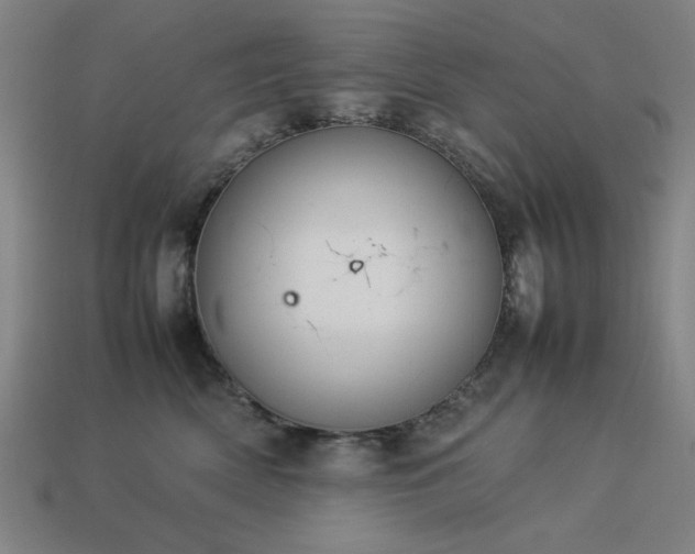 X0000113930522200909251222