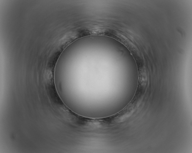 X0000113930523200909251222